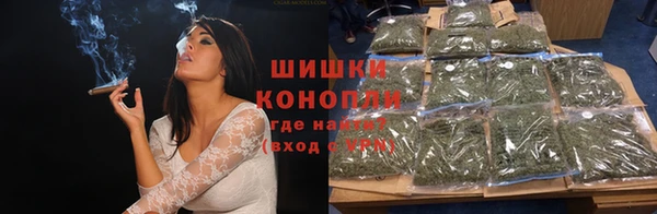 дживик Мегион