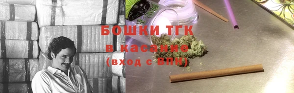 дживик Мегион