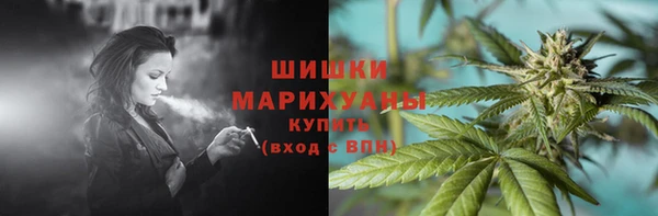 дживик Мегион