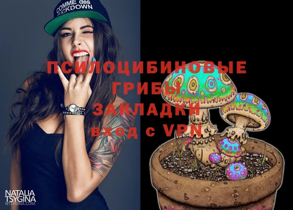 дживик Мегион