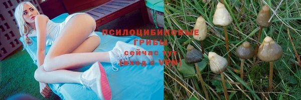 ГАЛЛЮЦИНОГЕННЫЕ ГРИБЫ Медногорск