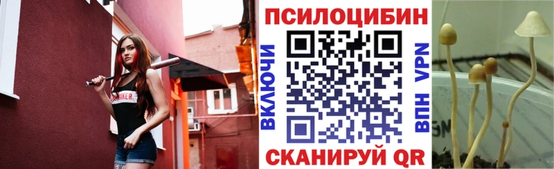 гидра ТОР  Серпухов  Псилоцибиновые грибы ЛСД 