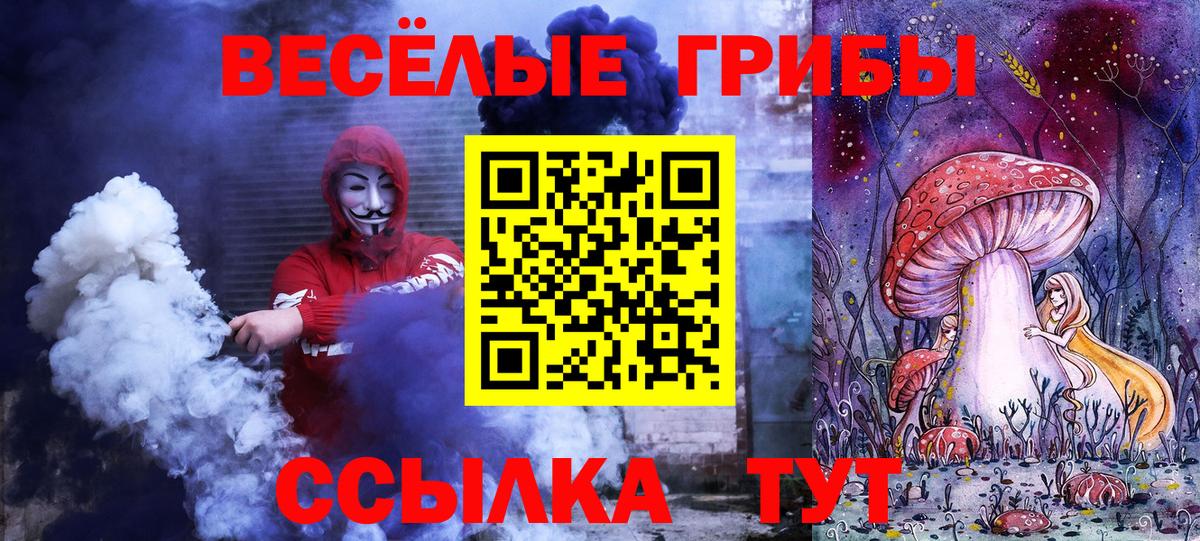 Псилоцибиновые грибы Psilocybe  Вход с VPN  Серпухов 